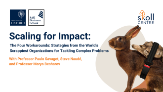 Seminar graphic showing details and a photo of a rabbit with a tortoise strapped to its back
