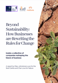 Beyond Sustainability 