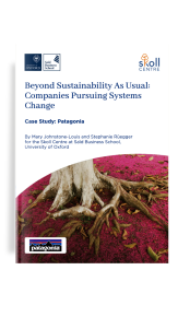 The front cover of the patagonia case study.