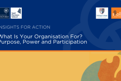 Promotional graphic for the Insights for Action series, titled “What Is Your Organisation For? Purpose, Power and Participation”. Features the University of Oxford, Saïd Business School and Skoll Centre logos on a dark blue background, with abstract blue, yellow and orange shapes and a large question mark.