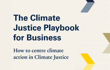 Text Reads: 'The Climate Justice Playbook for Business'
