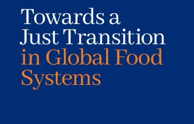 Text reads: 'Towards a Just Transition in Global Food Systems'. A blue cover with an orange illustration of a world shaped dinner plate in the bottom right. 