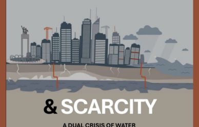 MTS 2025 Between Sinking & Scarcity