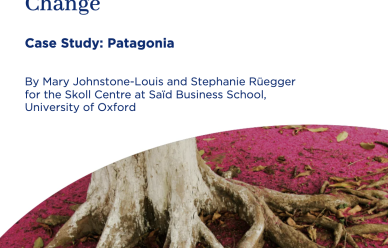 The front cover of the Patagonia case study.