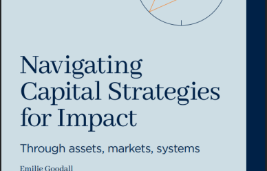 Navigating Capital Strategies for Impact